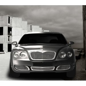 2004-2008 Luxury-Klasse Grille By Dresden